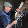 Paul Chambers Equine Dentistry